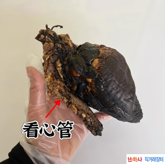 사슴 심장,녹심，수컷 ?