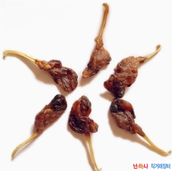 담비 거시기,담비 생식?