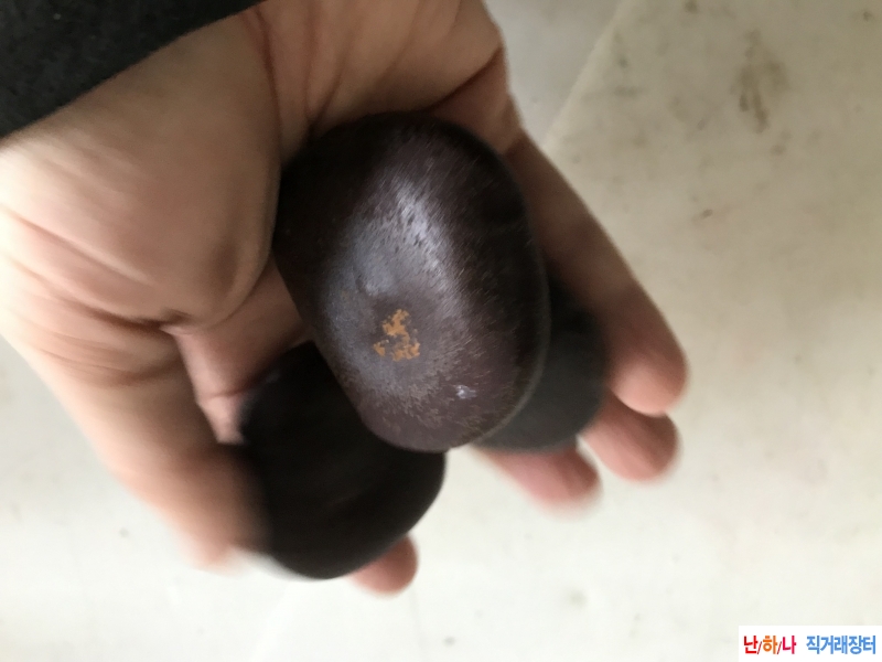 음양자  자연산 정력제