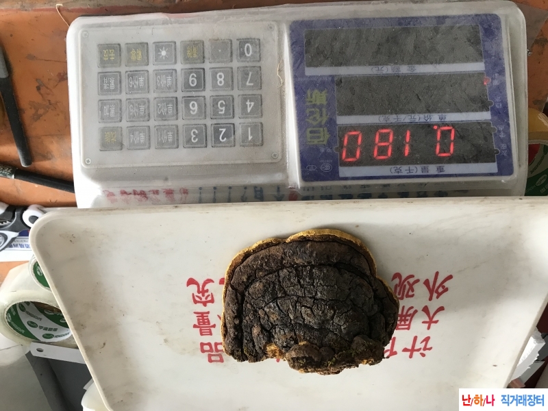 180그람 야생 뽕상황버?