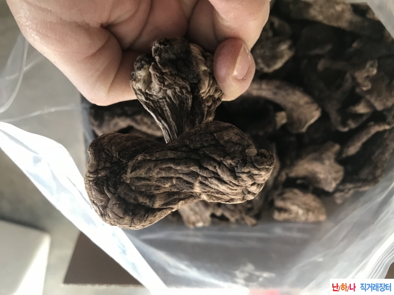 중국산 능이버섯 산지 ?