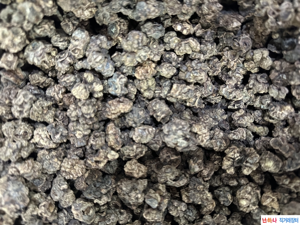 자연산 충영 건재 판매