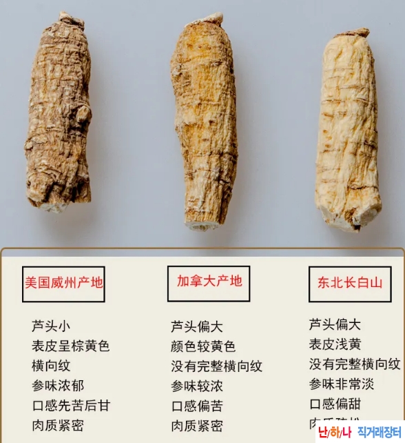 화기삼 花旗? 미국삼 ?