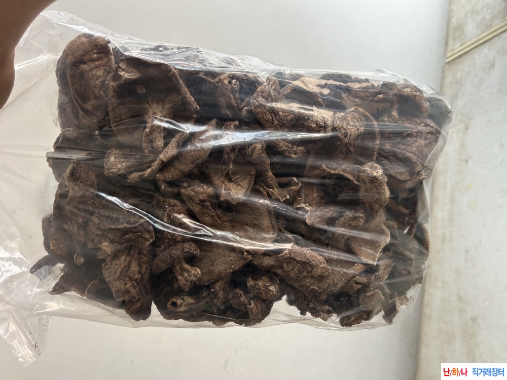 능이버섯 1키로 양입니?