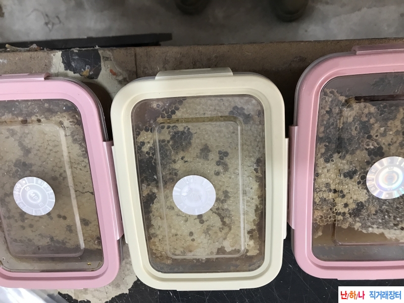 백두산 밀납 있는 목청?