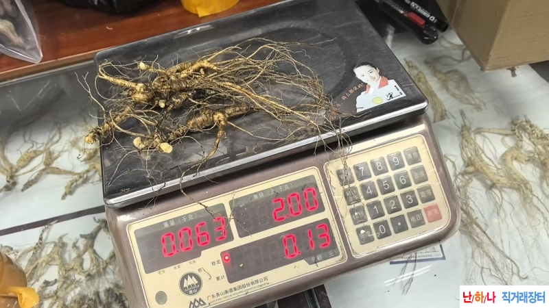 A200번 가족산삼 7뿌리