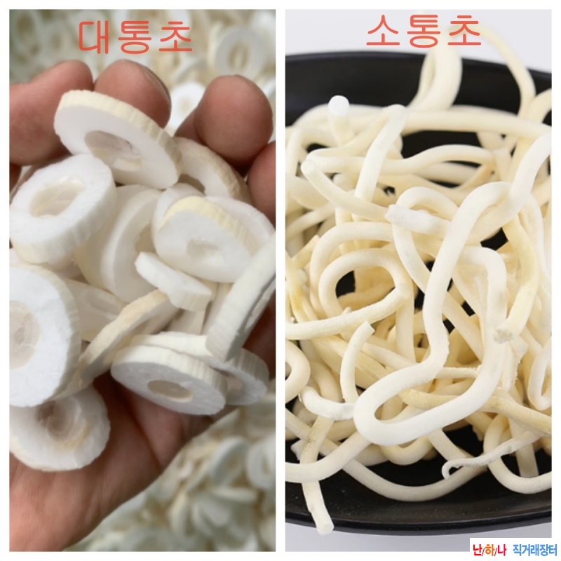 소통초