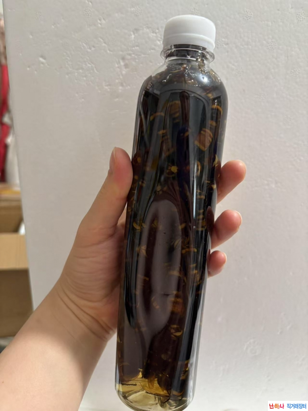 호두봉벌,장수말벌,말?