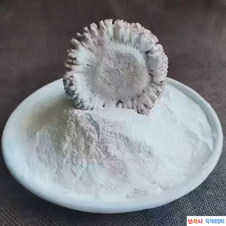 유방암에 좋은약초 녹?