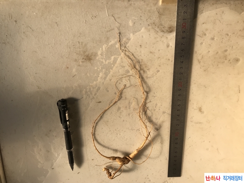 30-40년근 백두산 산삼 1?