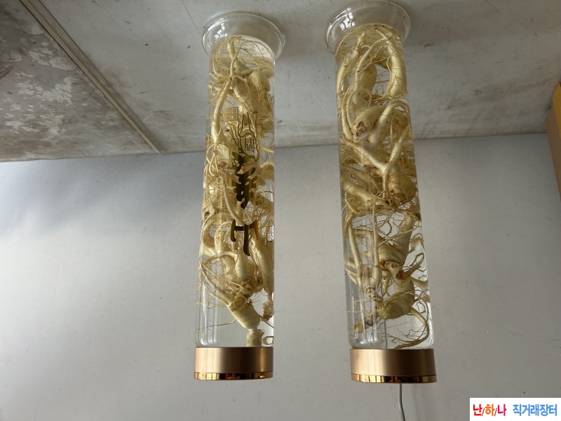 백두산 임하삼 파삼으?