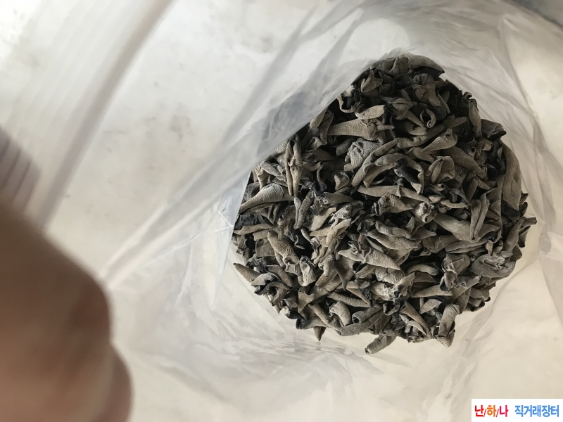 백두산 목이버섯 , 작?