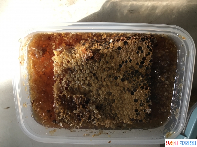 밀납 있는 백두산 목청?