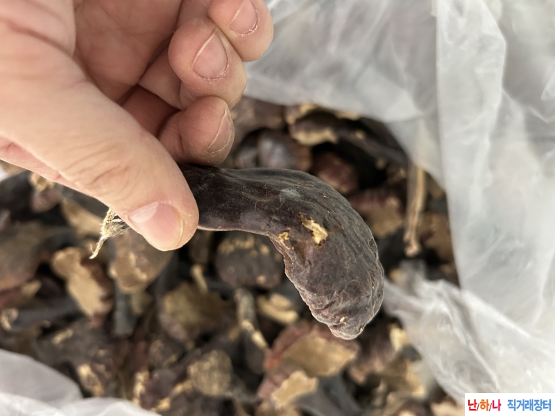 백두산 자연산 영지버?