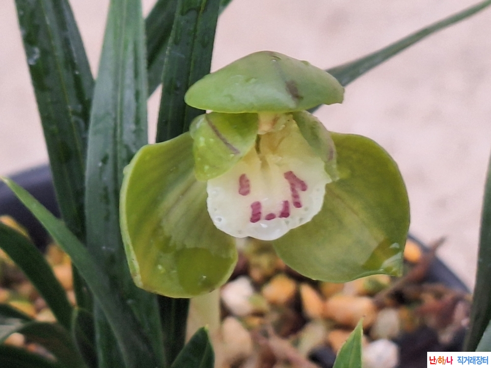 색과무늬//기대되는 두?