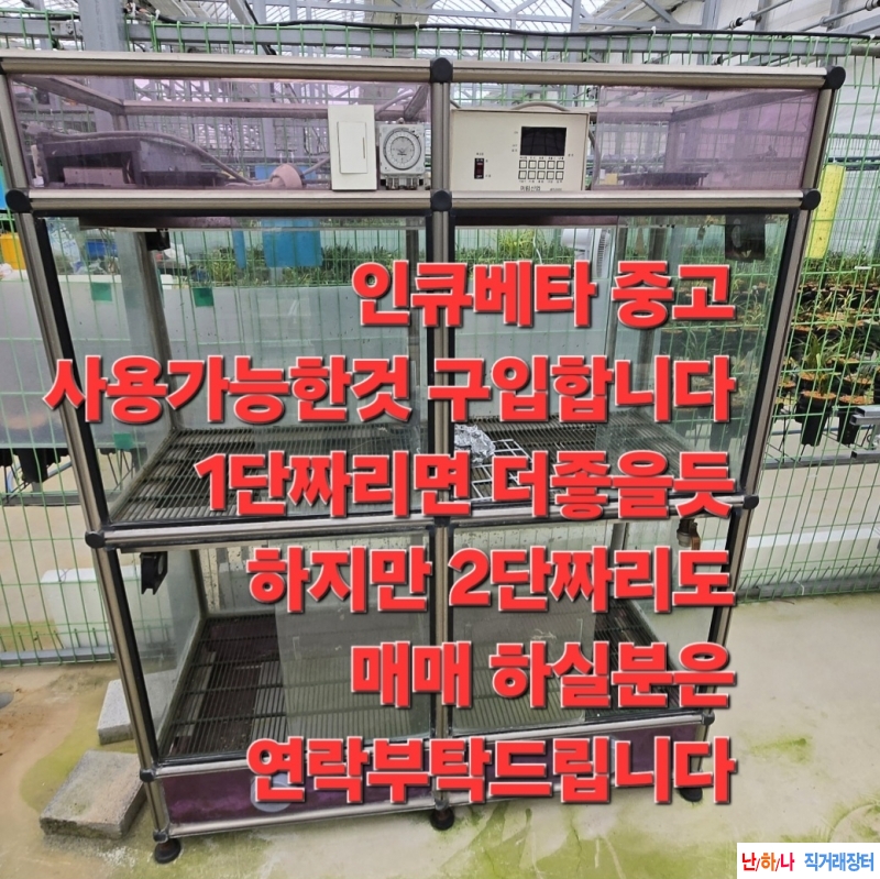인큐베타사요가능한중고매입?