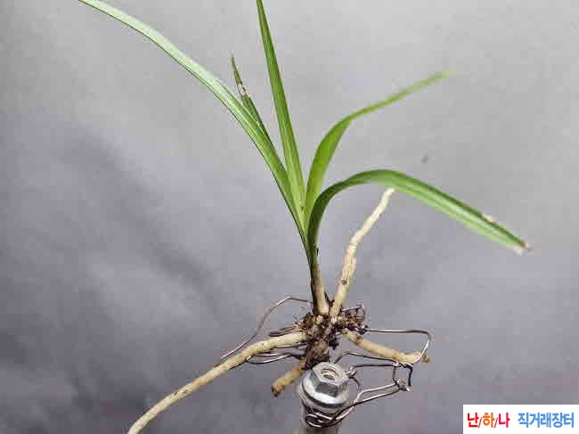 산채기브서성 산반