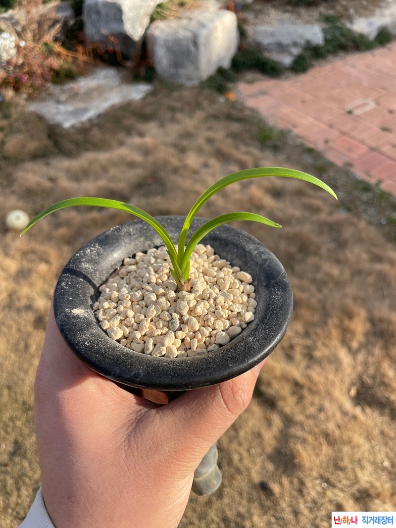 환엽서
