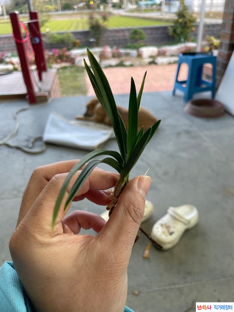 입변소심2