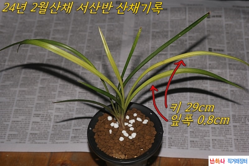 멋진 산채출발 극황서?