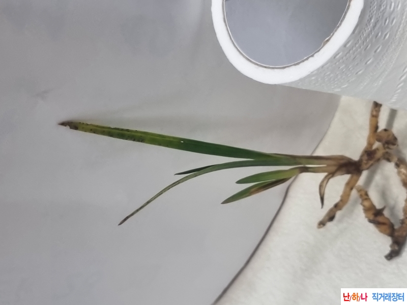 산채생강 후육입변 서?