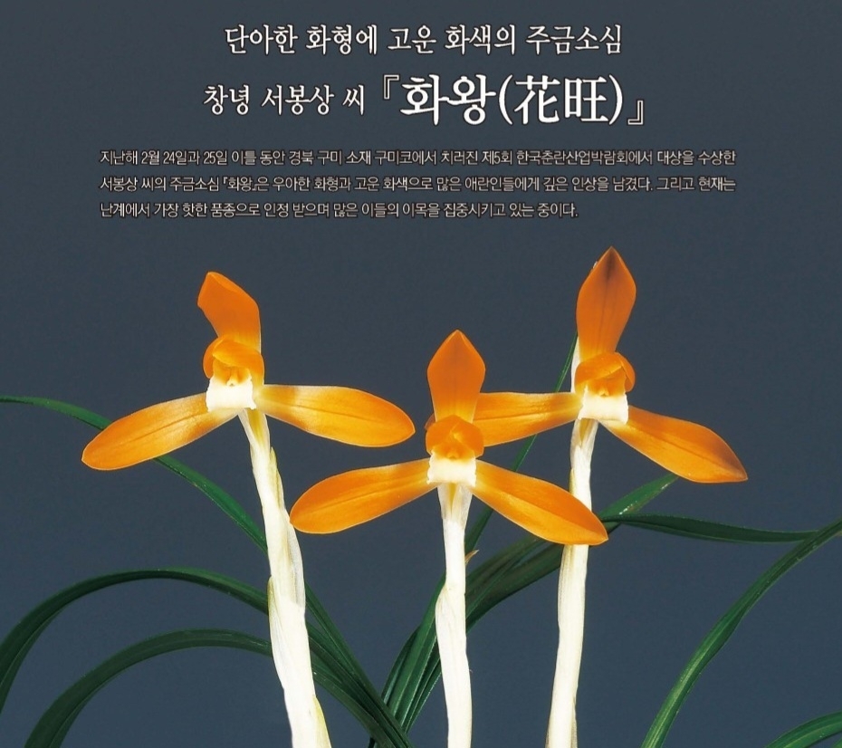 **무더위 특가판매 화?