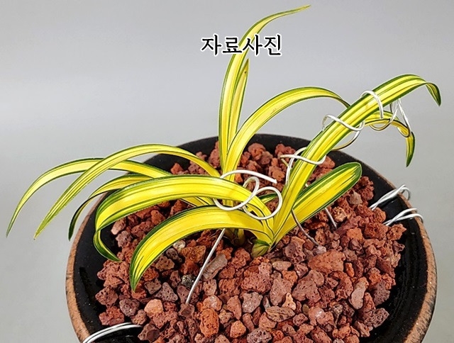 [관심상품]