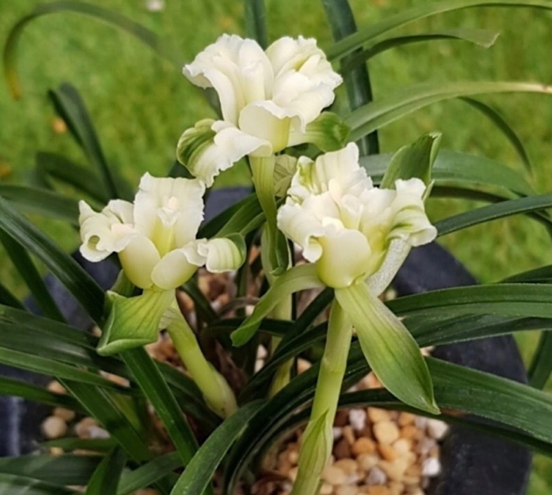 세계평화 -전시작