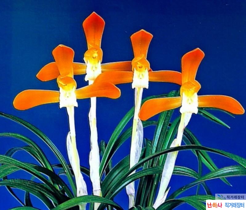 태홍소 특별할인