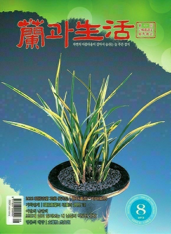 우미