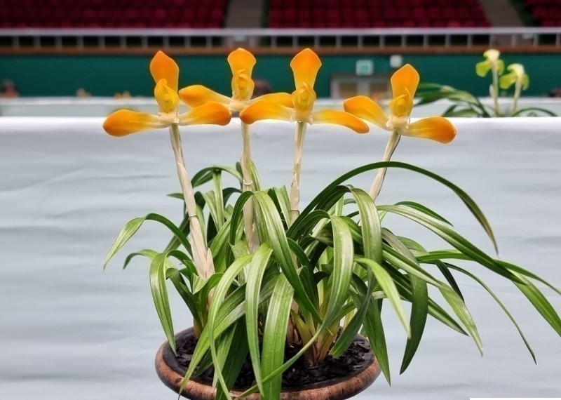 주금소심 태홍소 입니?