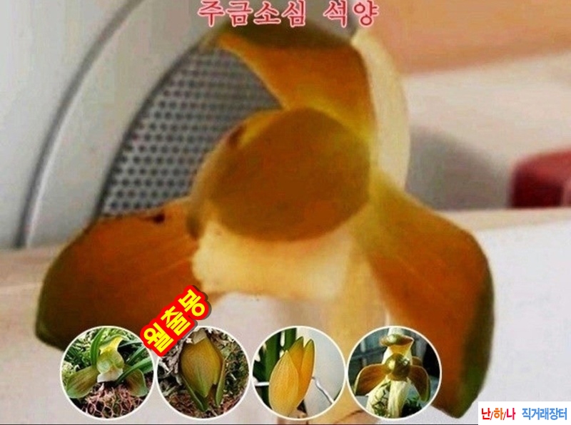 석양