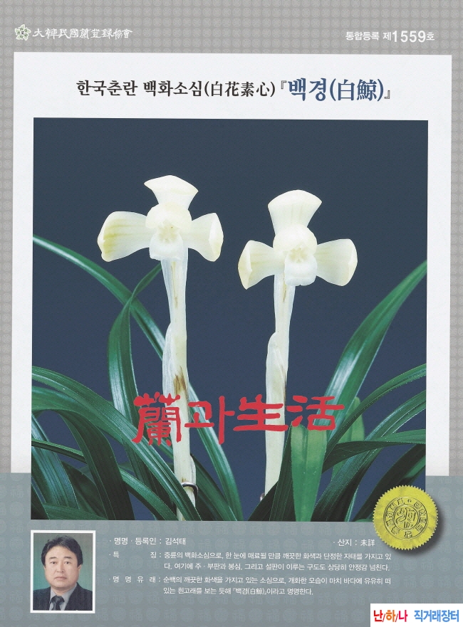백경 꽃 볼 세력 전진5촉 A급뿌?