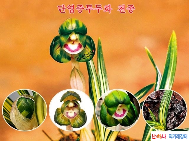 천종