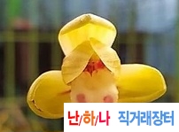 특주금두화온누리