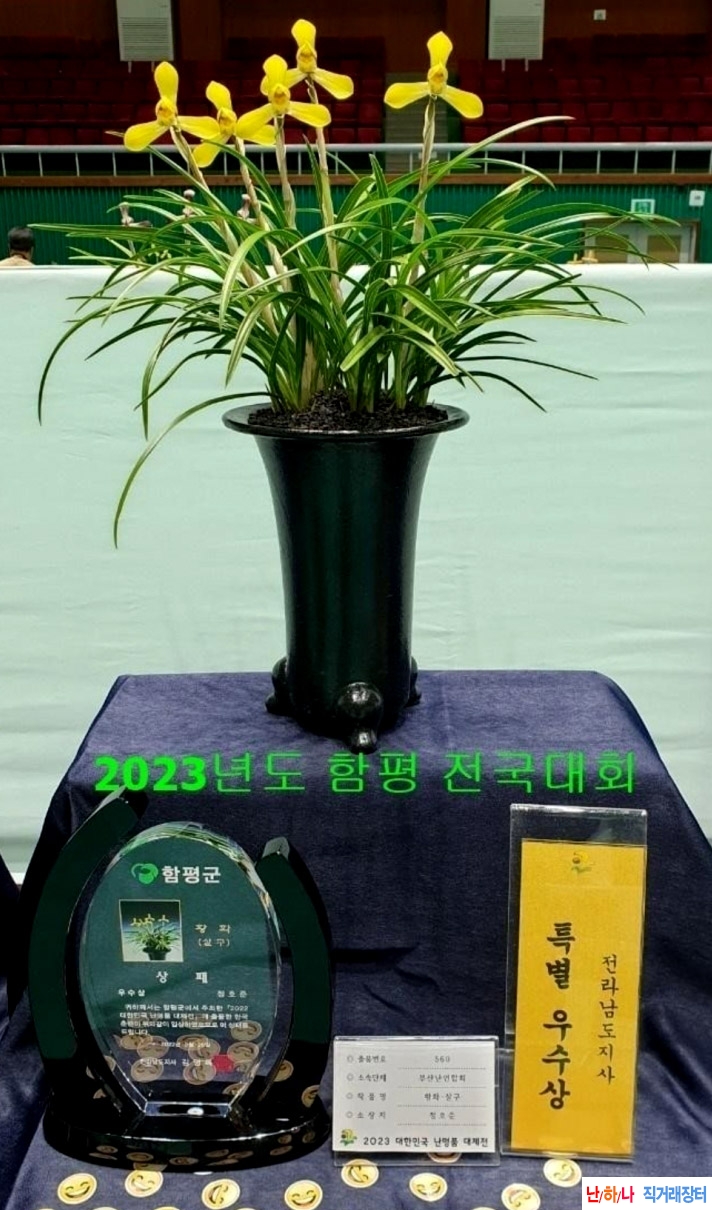 전시작19촉(3경)