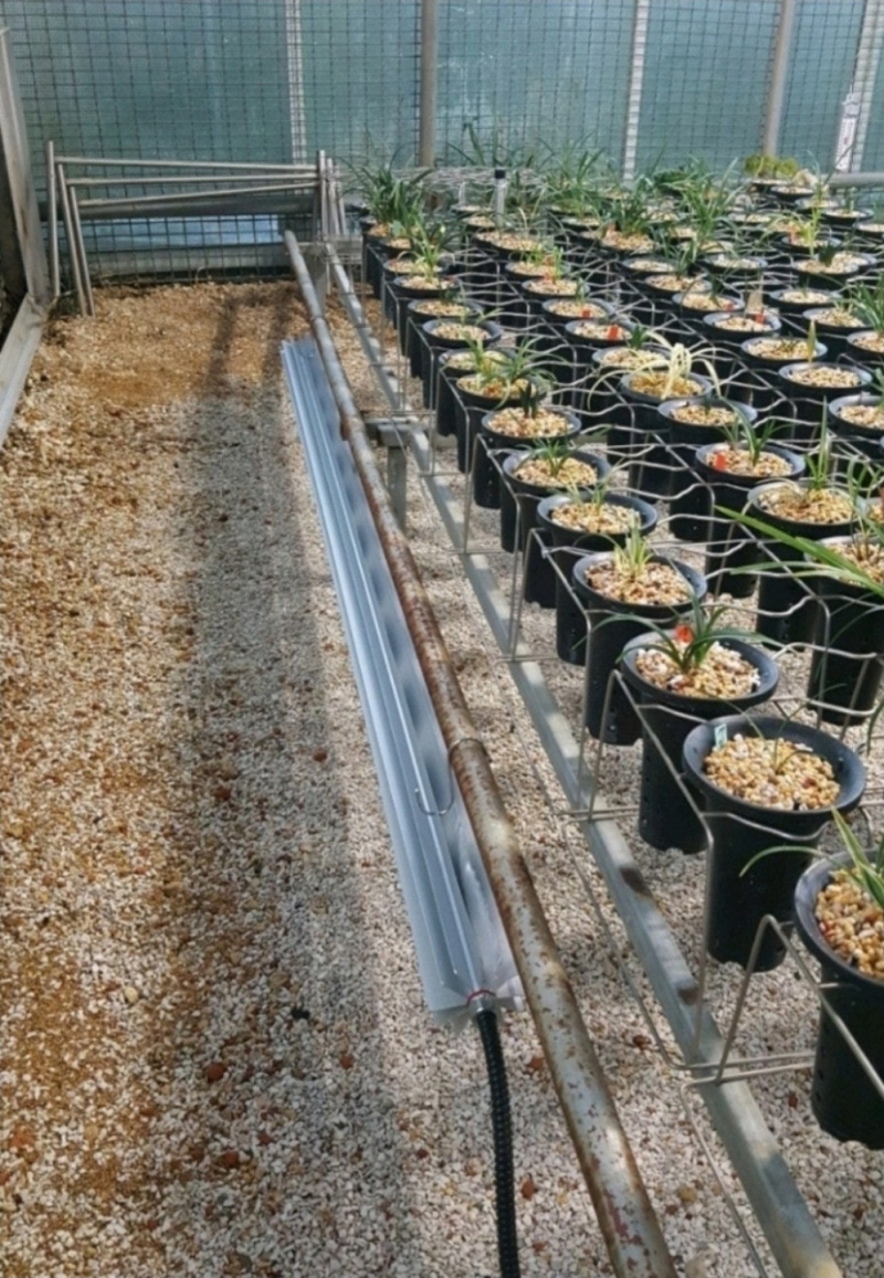 알루미늄히터기