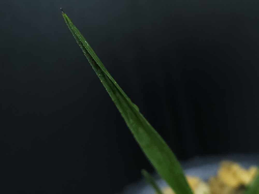 1744926172_680175dc0414e.jpg