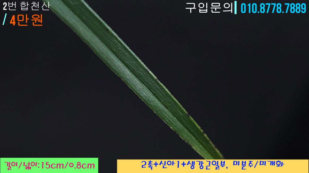 1745685194_680d0aca87ced.png
