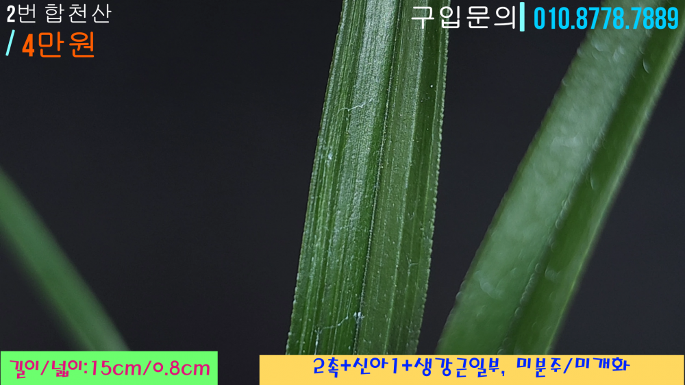 1745685196_680d0acc17d98.png