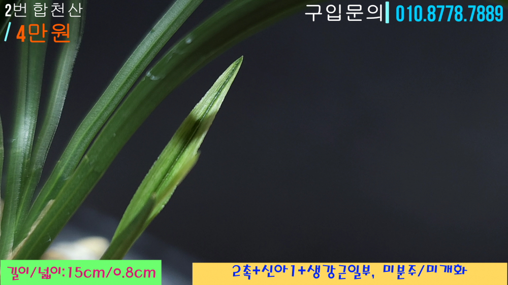 1745685196_680d0acccf3ee.png