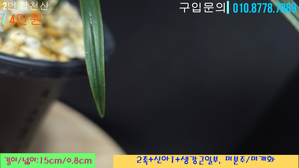 1745685199_680d0acf4eeb1.png