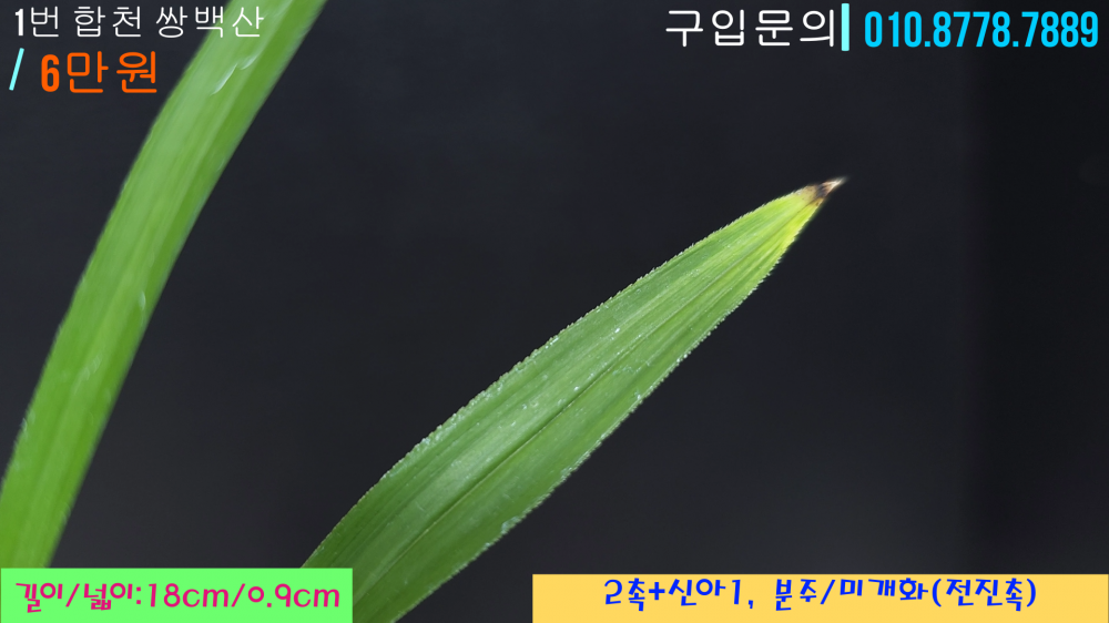 1745685287_680d0b27af40c.png