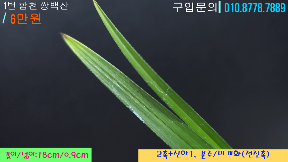 1745685288_680d0b286caf7.png