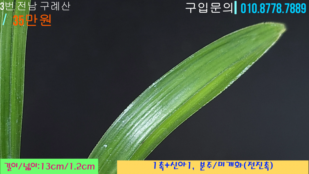 1745685482_680d0beac51e4.png