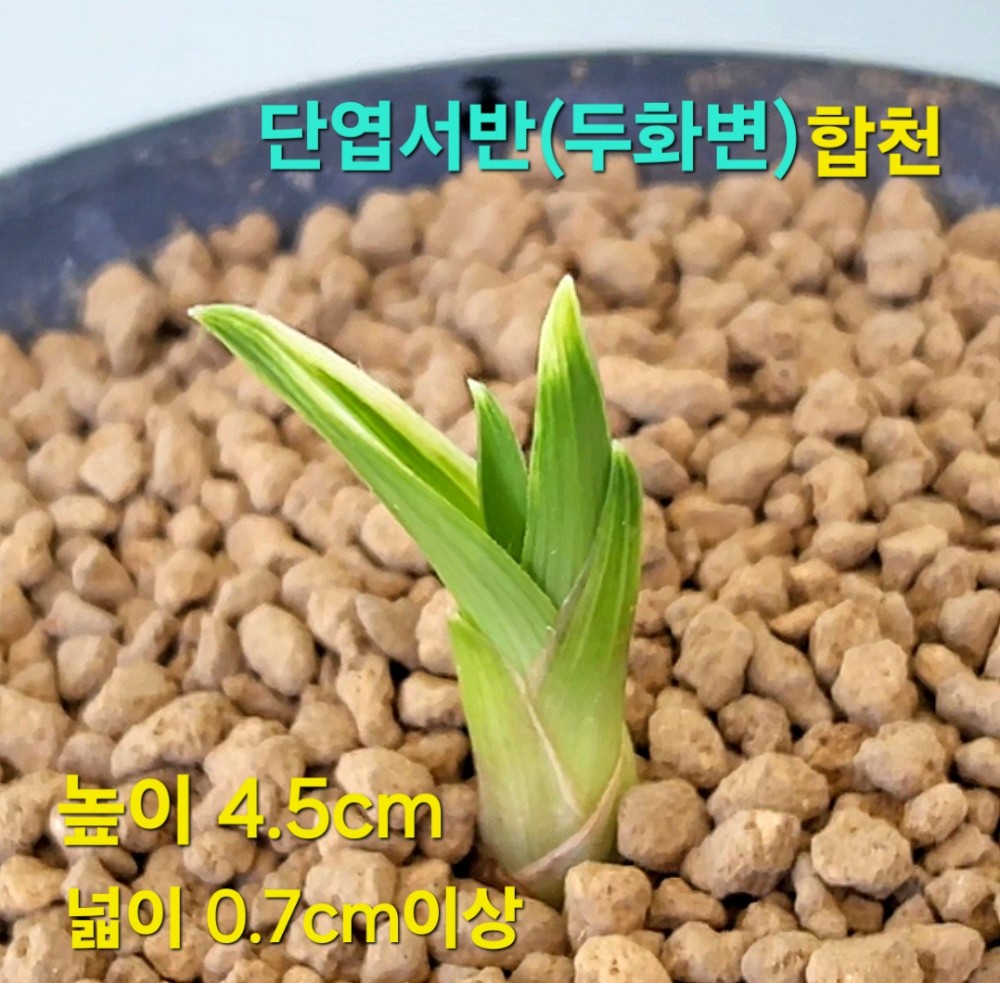 고가거래품분주☆☆☆?