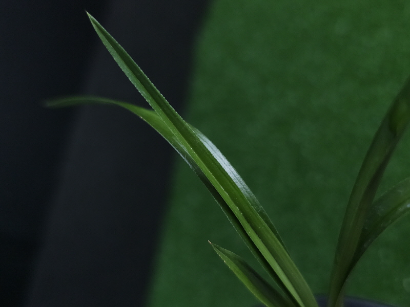 1749156611_684203032c63c.jpg