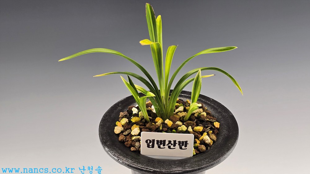 입변산반