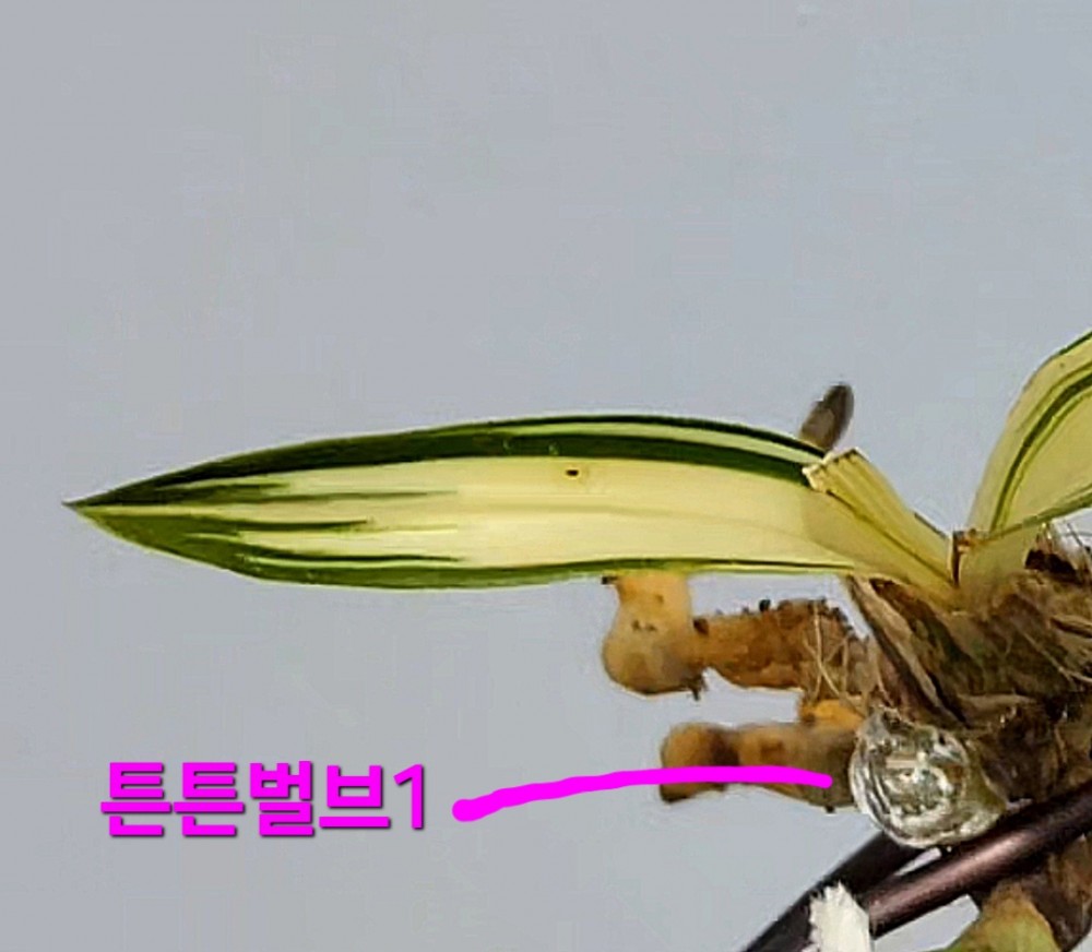 1750006282_684efa0ac250d.jpg