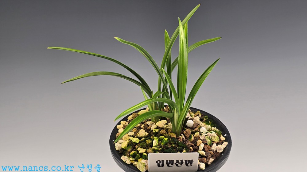 입변산반